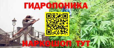 гидропоника Боровичи