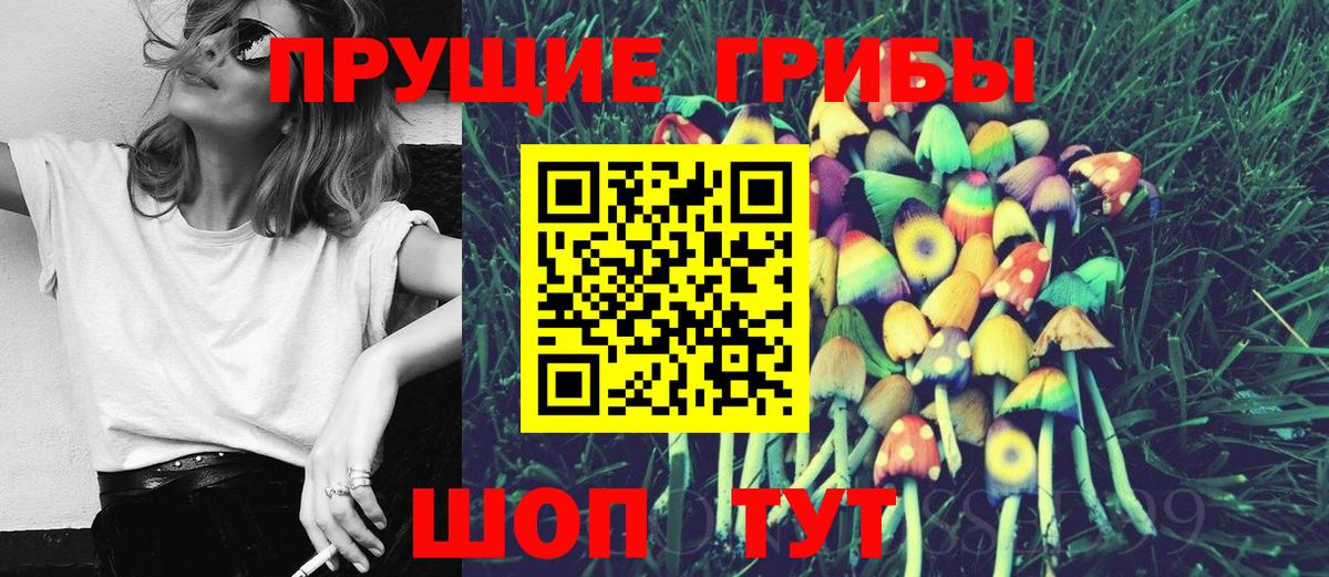 Сургут  Галлюциногенные грибы GOLDEN TEACHER  Галлюциногенные грибы прущие грибы  Вход с VPN 
